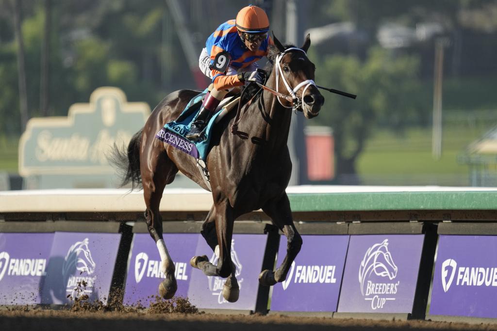 Predicting The 2025 Tampa Bay Derby: Odds, Field Analysis, And Kentucky Derby Implications Predicting The 2025 Tampa Bay Derby: Odds, Field Analysis, And Kentucky Derby Implications