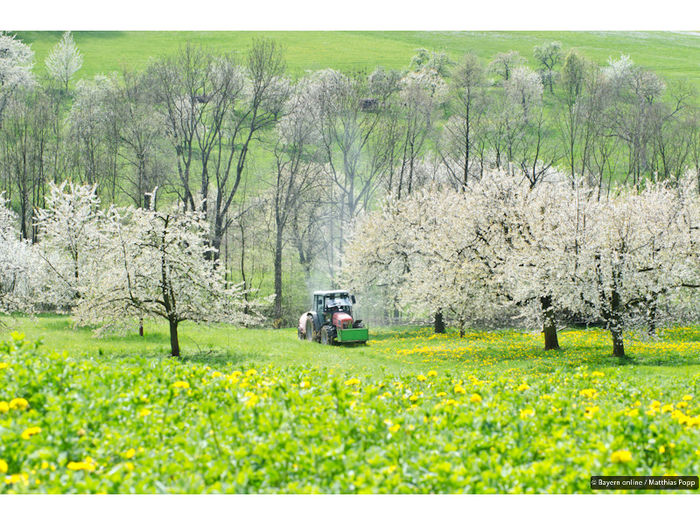 Pretzfeld Und Die Kirschblüte: Ein Ausflug In Die Fränkische Schweiz Pretzfeld Und Die Kirschblüte: Ein Ausflug In Die Fränkische Schweiz