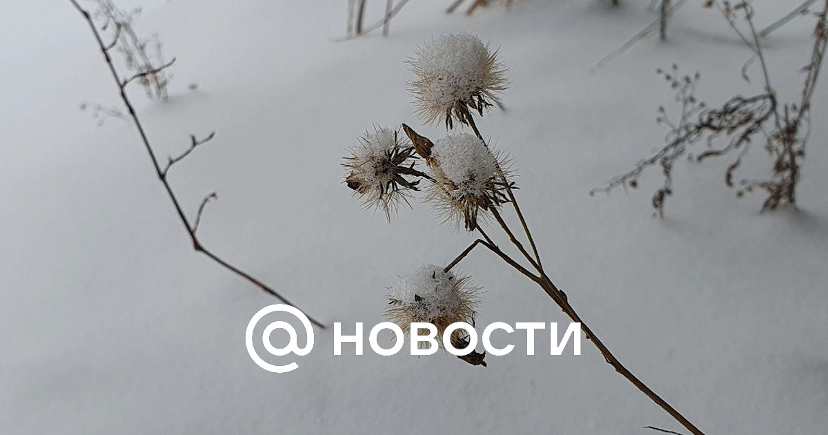 Прогноз Погоды: Снегопады В Ярославской Области На Этой Неделе Прогноз Погоды: Снегопады В Ярославской Области На Этой Неделе