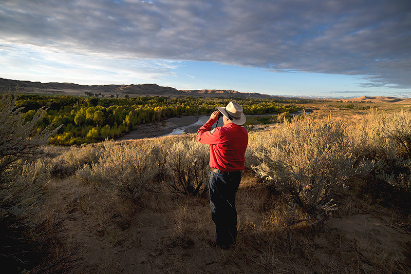 Protecting Wyoming's Otters: A Pivotal Moment In Conservation Protecting Wyoming's Otters: A Pivotal Moment In Conservation