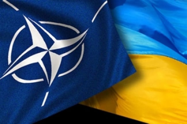 Путь Украины В НАТО: Роль И Обещания Германии Путь Украины В НАТО: Роль И Обещания Германии