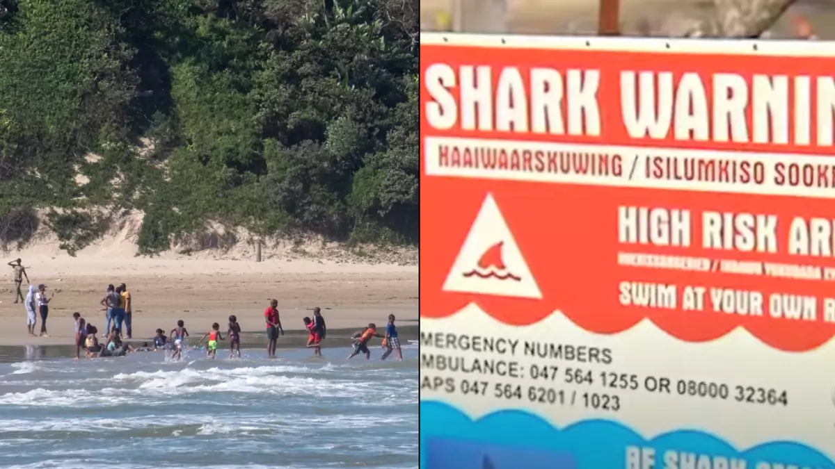 Recent Shark Activity And Tragic Discovery On Popular Israeli Beach Recent Shark Activity And Tragic Discovery On Popular Israeli Beach