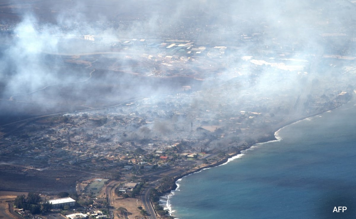 Record-Breaking Global Forest Loss: The Devastating Impact Of Wildfires Record-Breaking Global Forest Loss: The Devastating Impact Of Wildfires