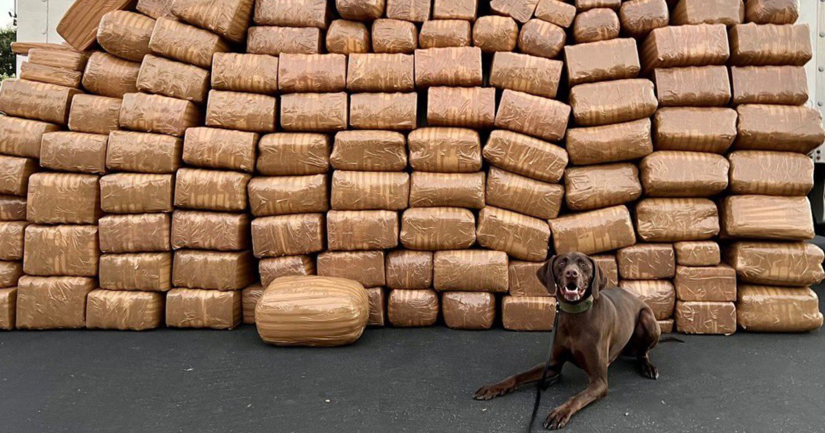 Record Fentanyl Seizure Announced: Pam Bondi's Major Drug Bust Record Fentanyl Seizure Announced: Pam Bondi's Major Drug Bust