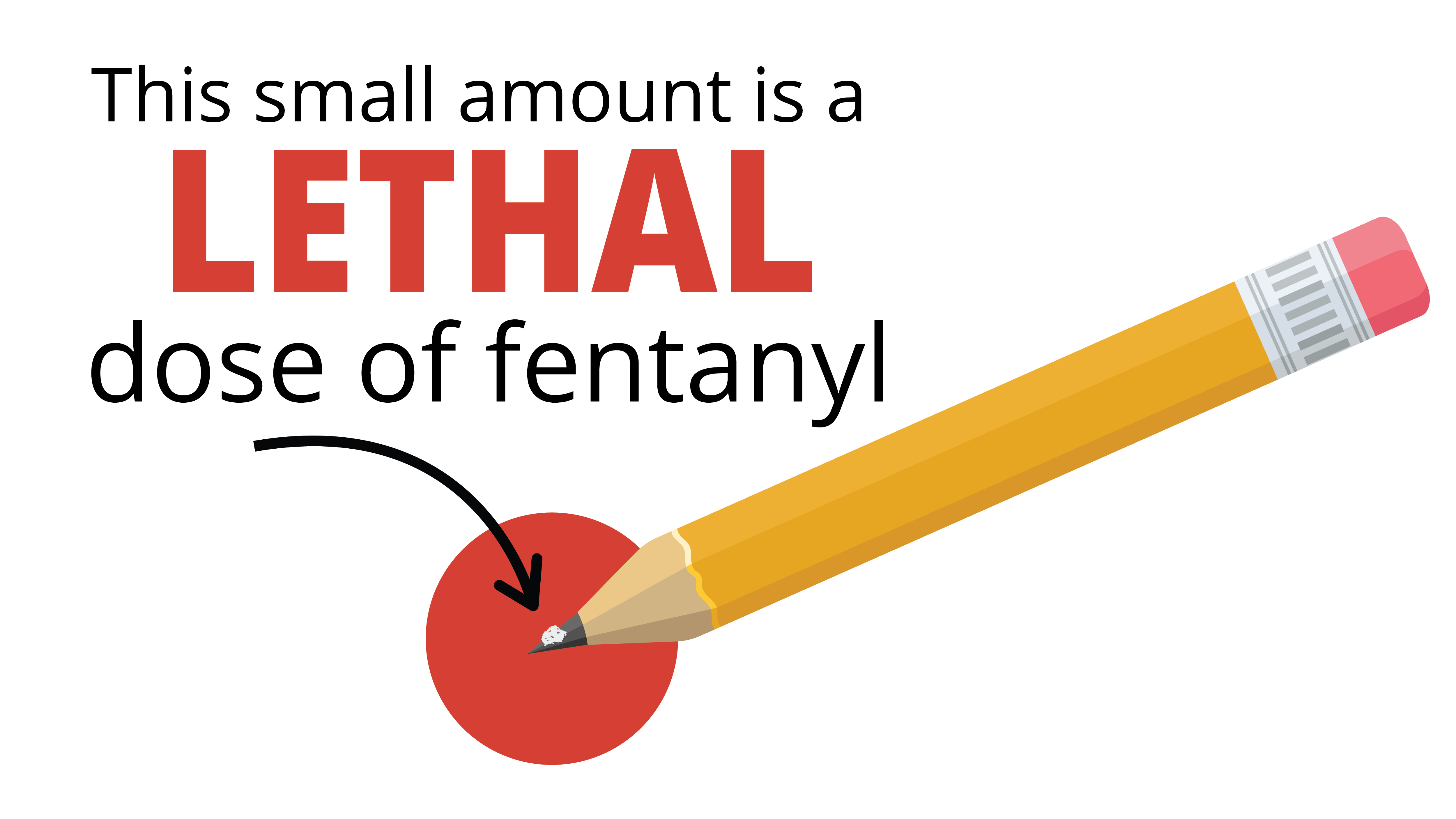 Record Fentanyl Seizure Announced: Pam Bondi's Update Record Fentanyl Seizure Announced: Pam Bondi's Update