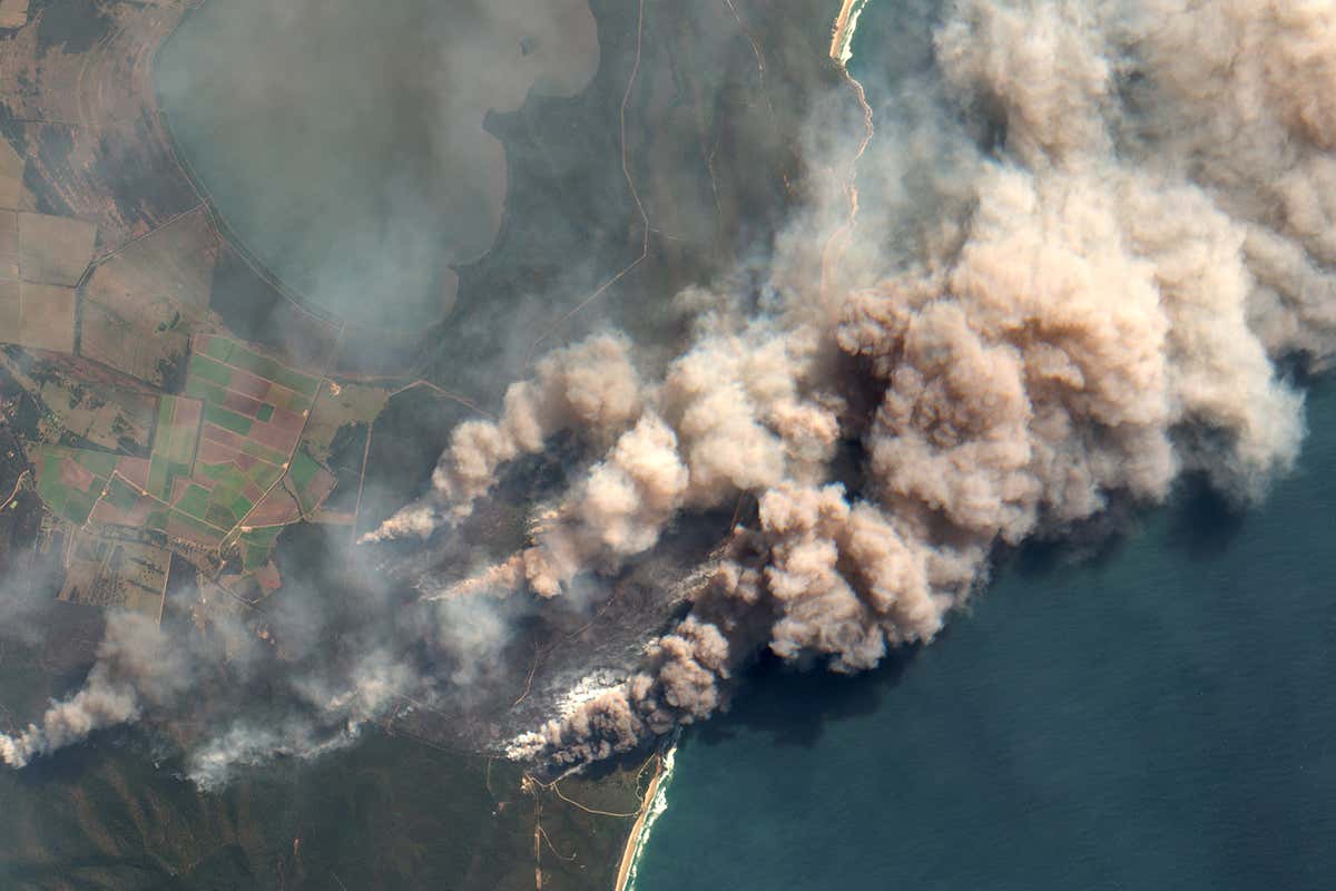 Record Forest Loss: Wildfires Drive Unprecedented Destruction Globally Record Forest Loss: Wildfires Drive Unprecedented Destruction Globally