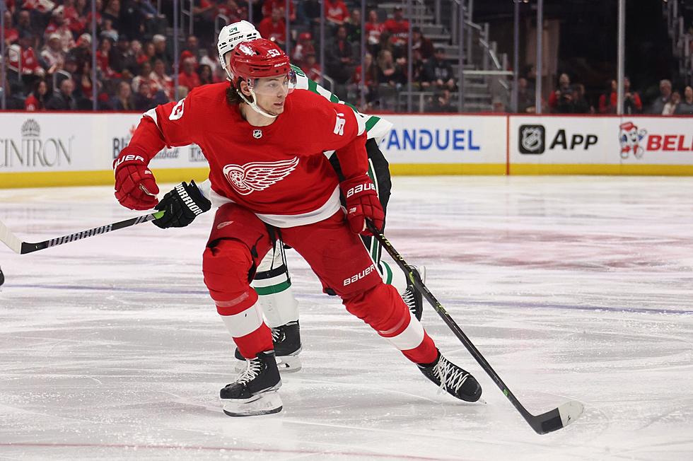 Red Wings Suffer 6-3 Defeat, Playoff Chances Fade Red Wings Suffer 6-3 Defeat, Playoff Chances Fade