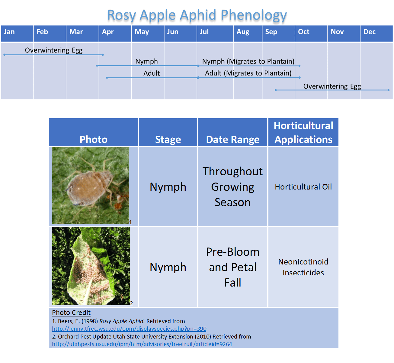 Reduced Apple Harvest: Rosy Apple Aphid Impact And Predictions Reduced Apple Harvest: Rosy Apple Aphid Impact And Predictions