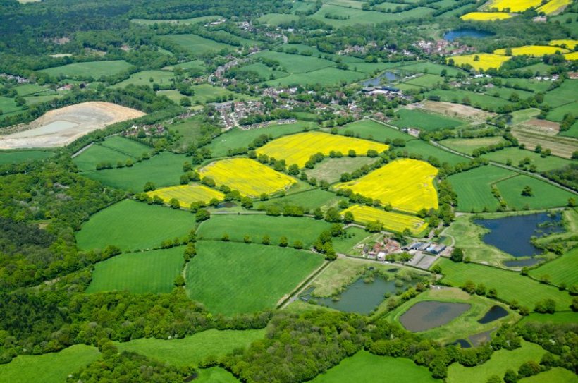 Reform UK's Agricultural Policies: Promises, Plans, And Practicalities Reform UK's Agricultural Policies: Promises, Plans, And Practicalities