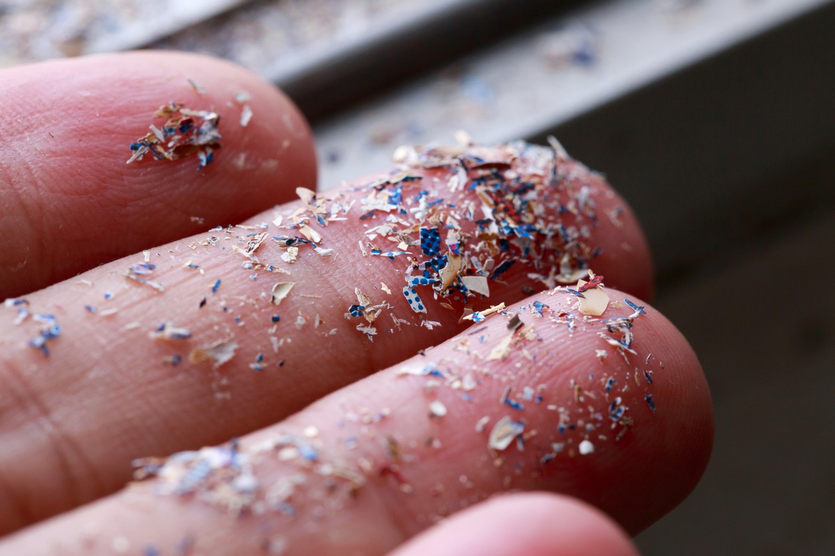 Ricerca Sulla Distribuzione Delle Microplastiche Nelle Acque Ricerca Sulla Distribuzione Delle Microplastiche Nelle Acque