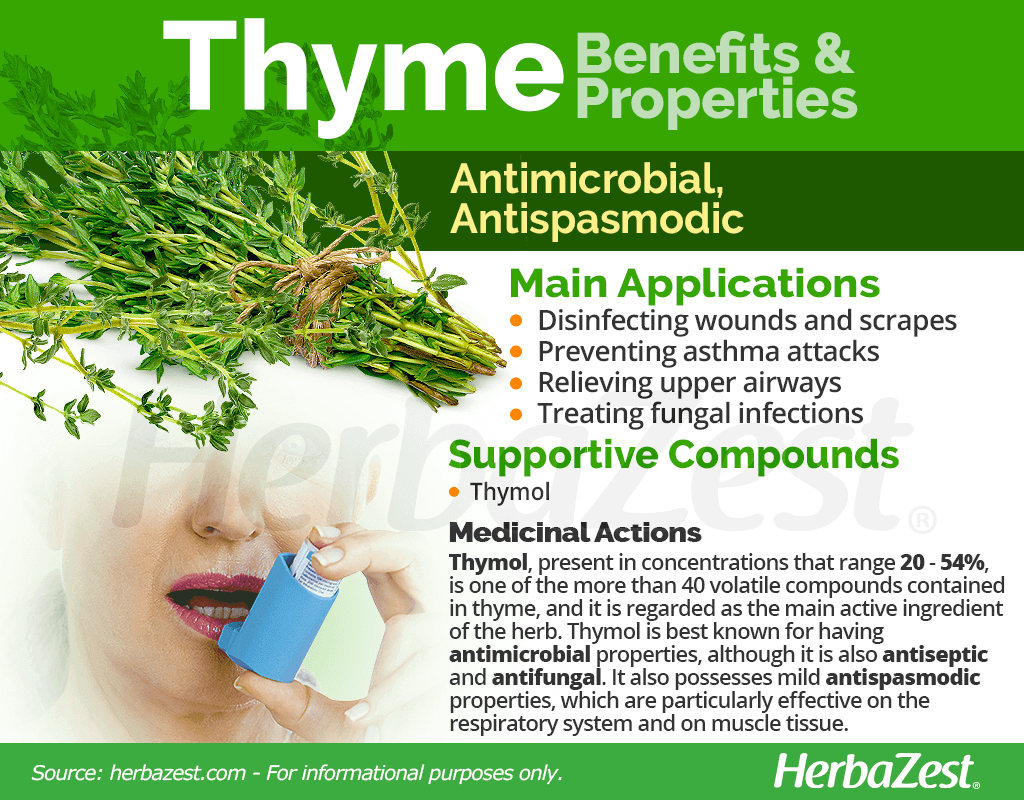 Rosemary And Thyme: A Guide To Their Medicinal Properties Rosemary And Thyme: A Guide To Their Medicinal Properties