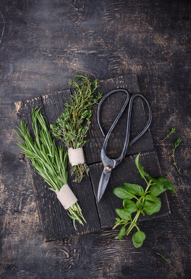 Rosemary & Thyme: A Practical Guide For Home Cooks Rosemary & Thyme: A Practical Guide For Home Cooks