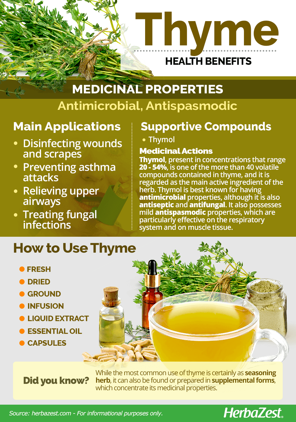 Rosemary & Thyme: Benefits, Uses, And Recipes