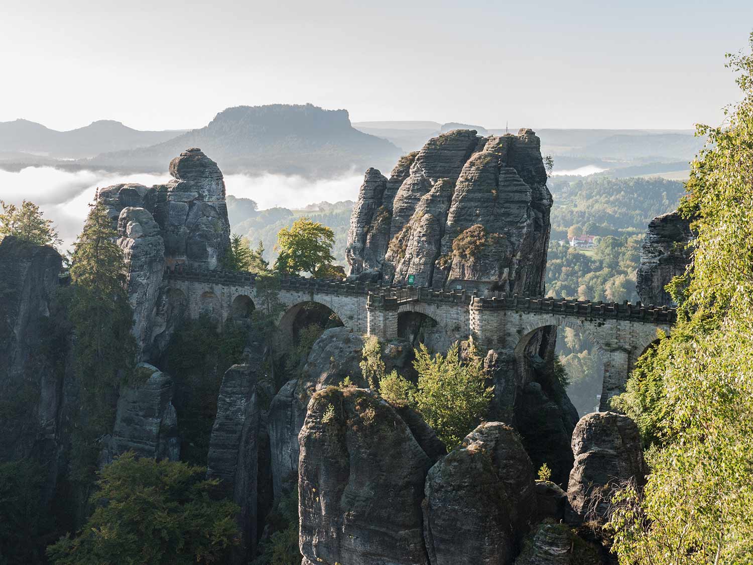 Sächsische Schweiz Nationalpark Begrüßt Fünf Neue Partner: Zukunft Des Naturerbes Sichern Sächsische Schweiz Nationalpark Begrüßt Fünf Neue Partner: Zukunft Des Naturerbes Sichern
