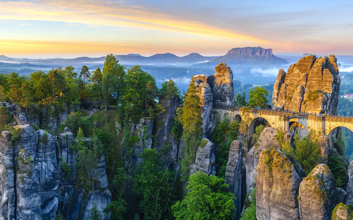 Sächsische Schweiz: Naturschutzprojekt Mit 190.000 Neu Gepflanzten Bäumen Sächsische Schweiz: Naturschutzprojekt Mit 190.000 Neu Gepflanzten Bäumen