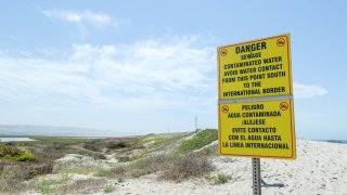 San Diego County Beaches: Best Weekend Spots This Weekend San Diego County Beaches: Best Weekend Spots This Weekend