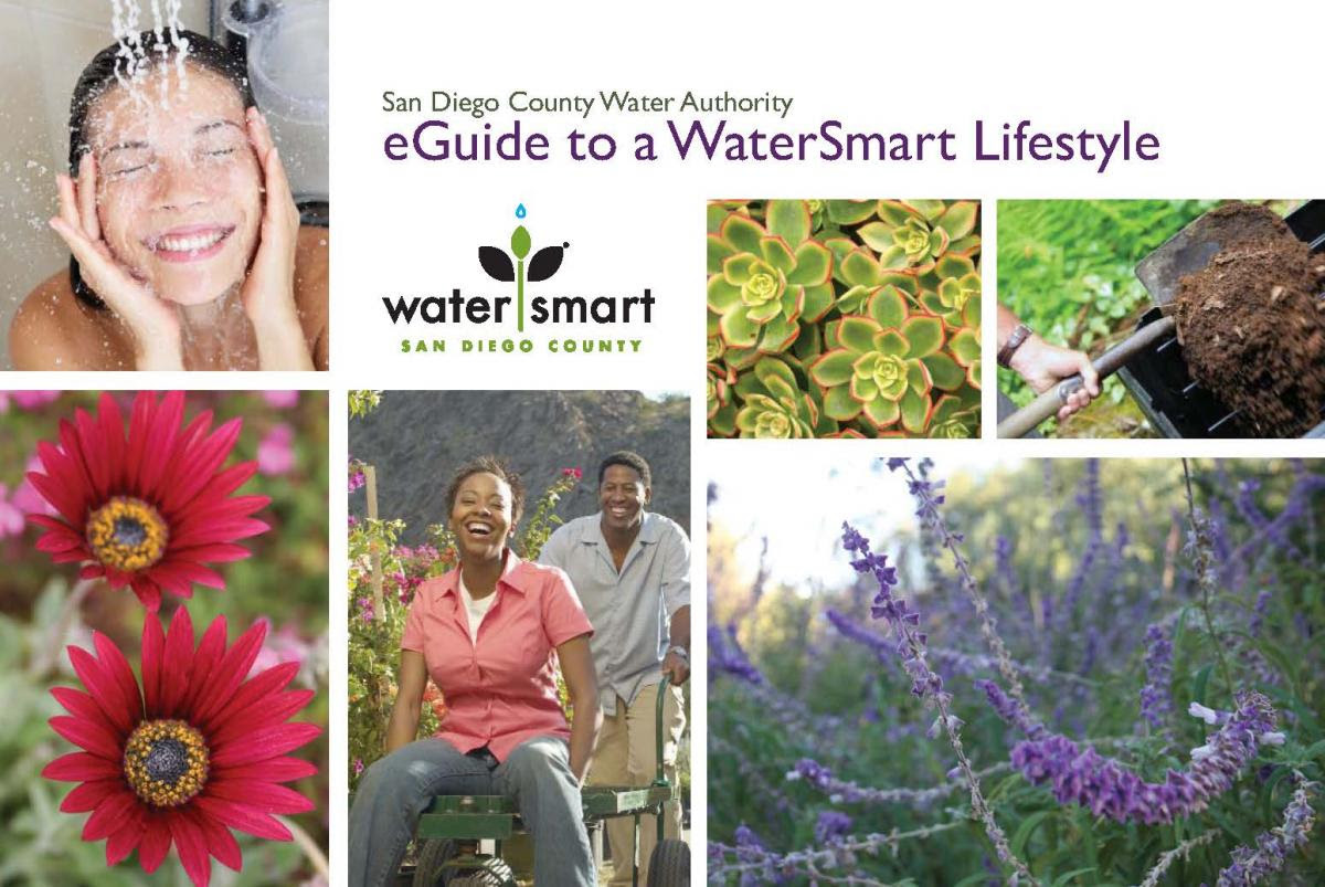 San Diego Water Authority's Cost-Cutting Strategy: Surplus Water Sales San Diego Water Authority's Cost-Cutting Strategy: Surplus Water Sales