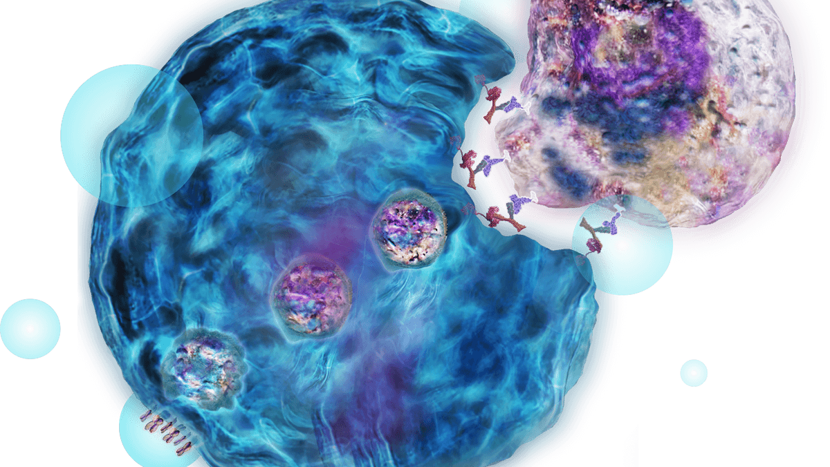 Sanofi Acquires Dren Bio's Bispecific Myeloid Cell Engager For Enhanced B-Cell Depletion Sanofi Acquires Dren Bio's Bispecific Myeloid Cell Engager For Enhanced B-Cell Depletion