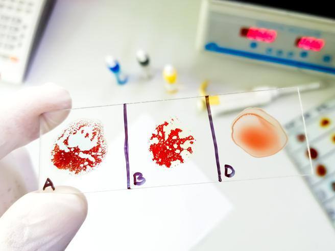 Sanofi Rachète La Technologie D'anticorps Bispécifiques De Dren Bio Sanofi Rachète La Technologie D'anticorps Bispécifiques De Dren Bio