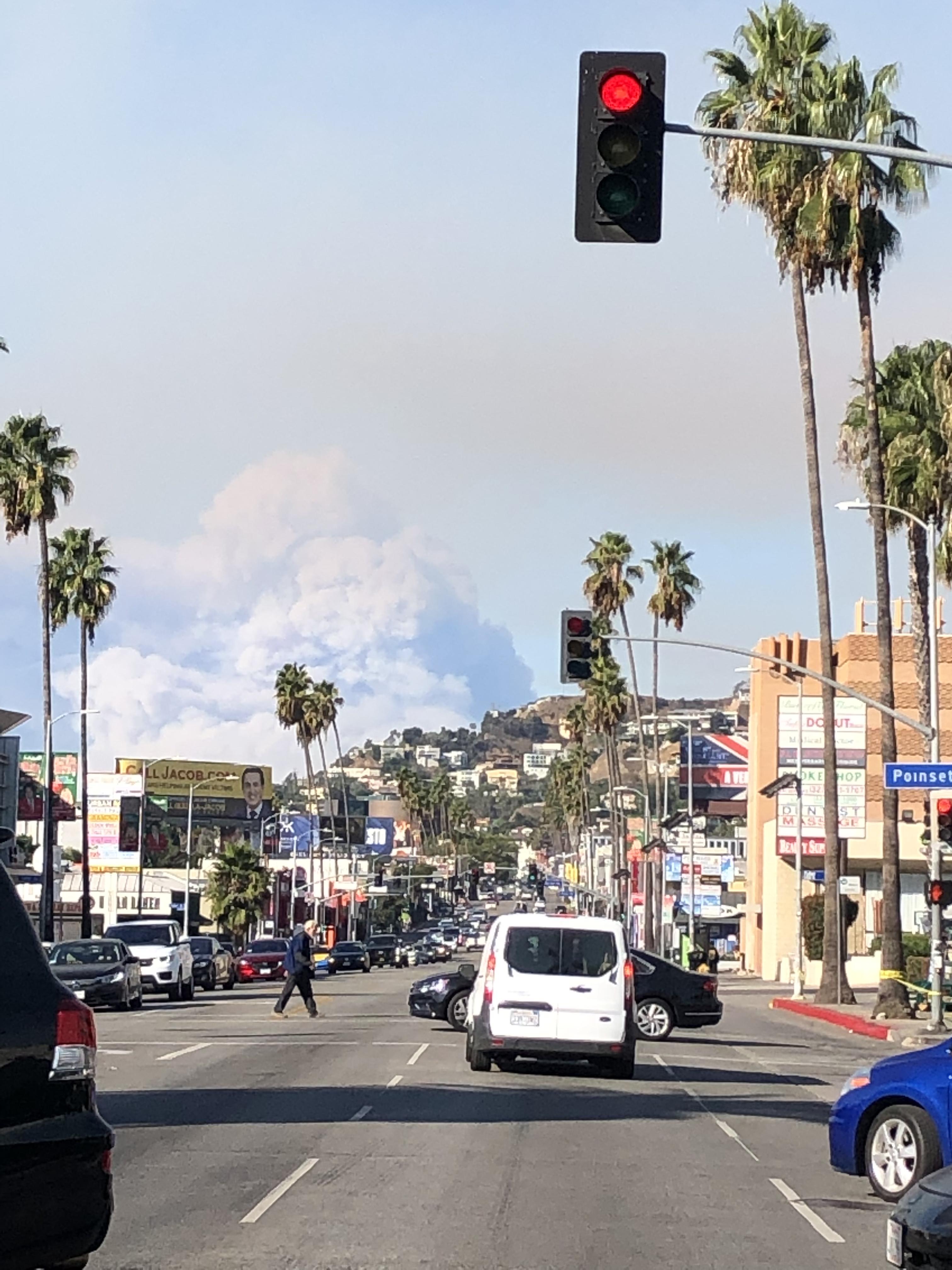 'Selling Sunset' Star Highlights Landlord Exploitation After LA Fires 'Selling Sunset' Star Highlights Landlord Exploitation After LA Fires