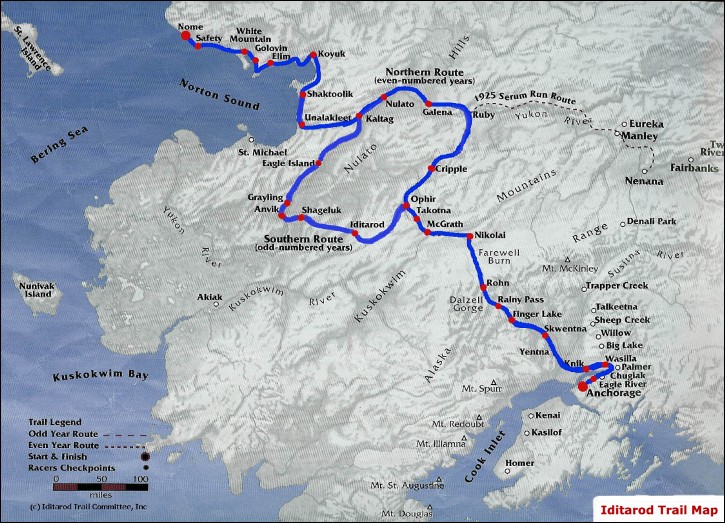 Seven Iditarod Newcomers Race To Nome: Their Stories And Challenges Seven Iditarod Newcomers Race To Nome: Their Stories And Challenges