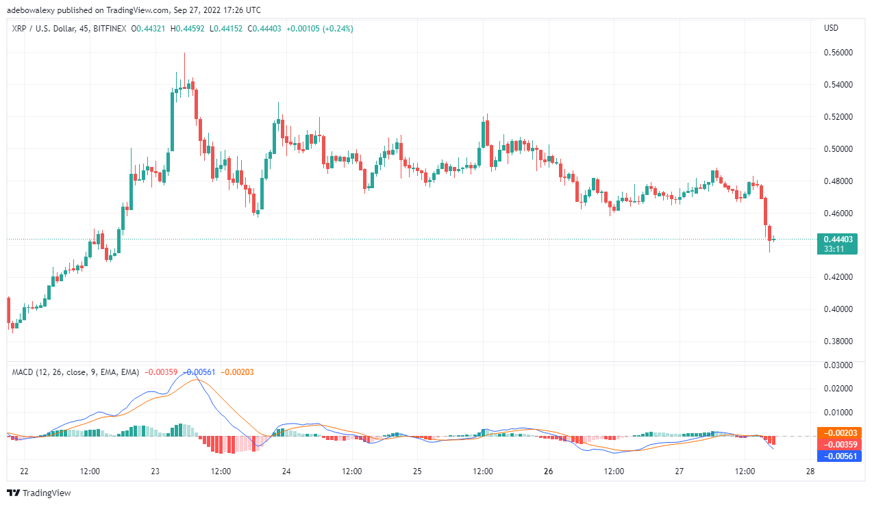 Should You Invest In XRP (Ripple) Now?  A Current Market Evaluation