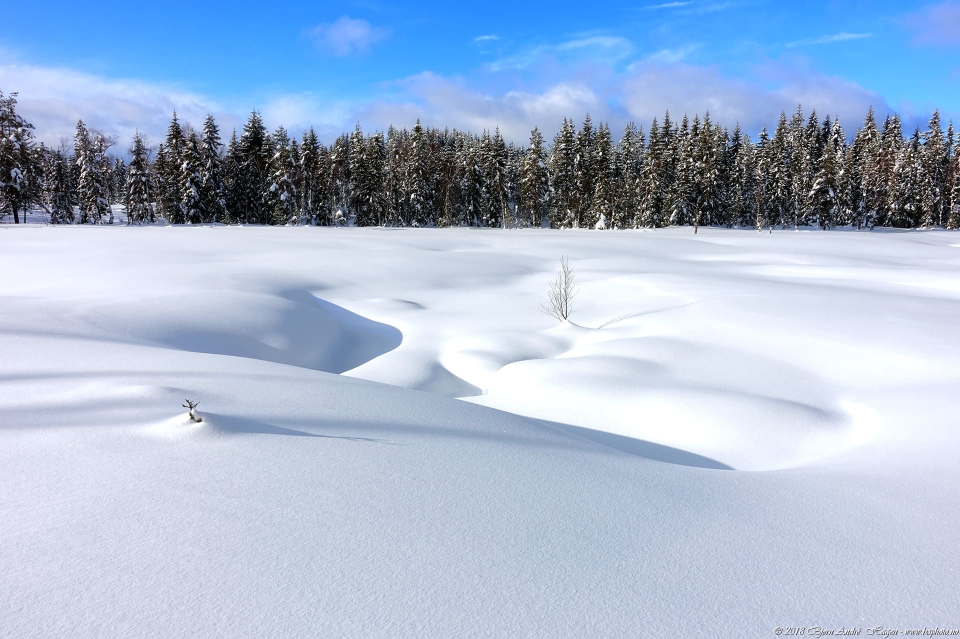 Sikker Kjøring I Snø Og Is: Veiinformasjon For Sør-Norge Sikker Kjøring I Snø Og Is: Veiinformasjon For Sør-Norge