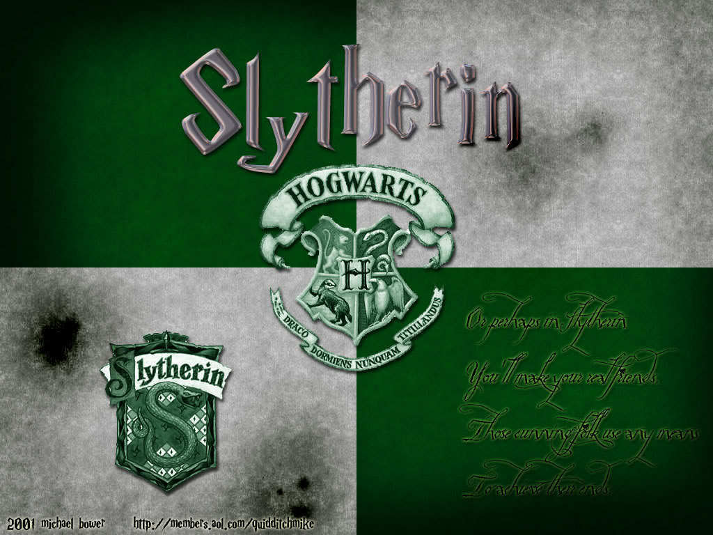 Slytherin Forever: Harry Potter Actor On Possible HBO Show Involvement Slytherin Forever: Harry Potter Actor On Possible HBO Show Involvement