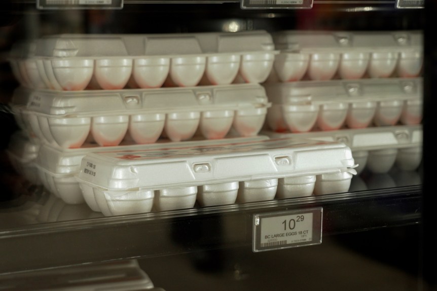Soaring Egg Prices: Was Trump's Prediction Accurate? Soaring Egg Prices: Was Trump's Prediction Accurate?