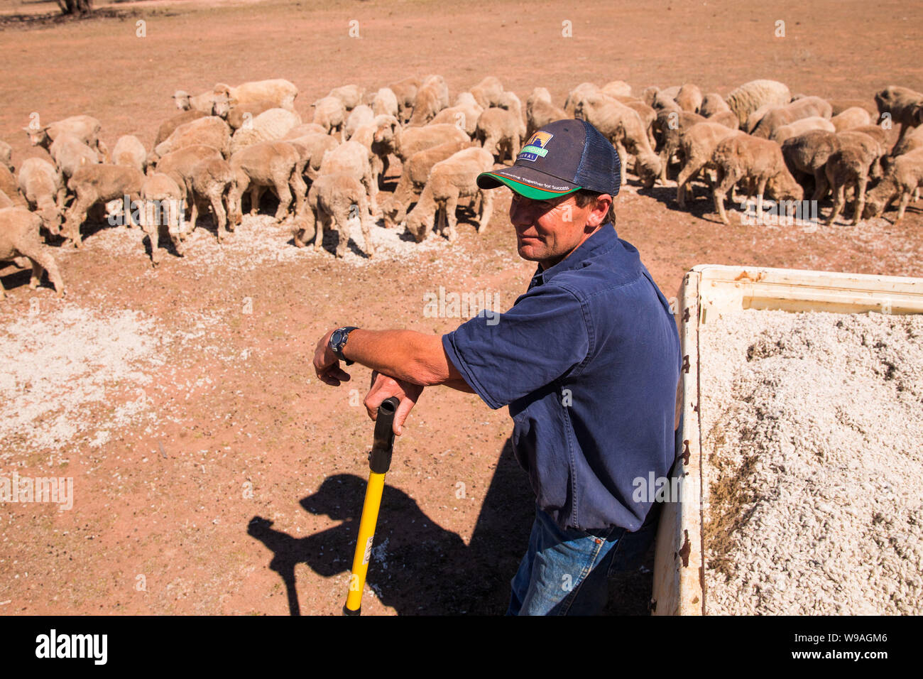 South Australian Drought: Kangaroo Overpopulation And Farmer Support South Australian Drought: Kangaroo Overpopulation And Farmer Support