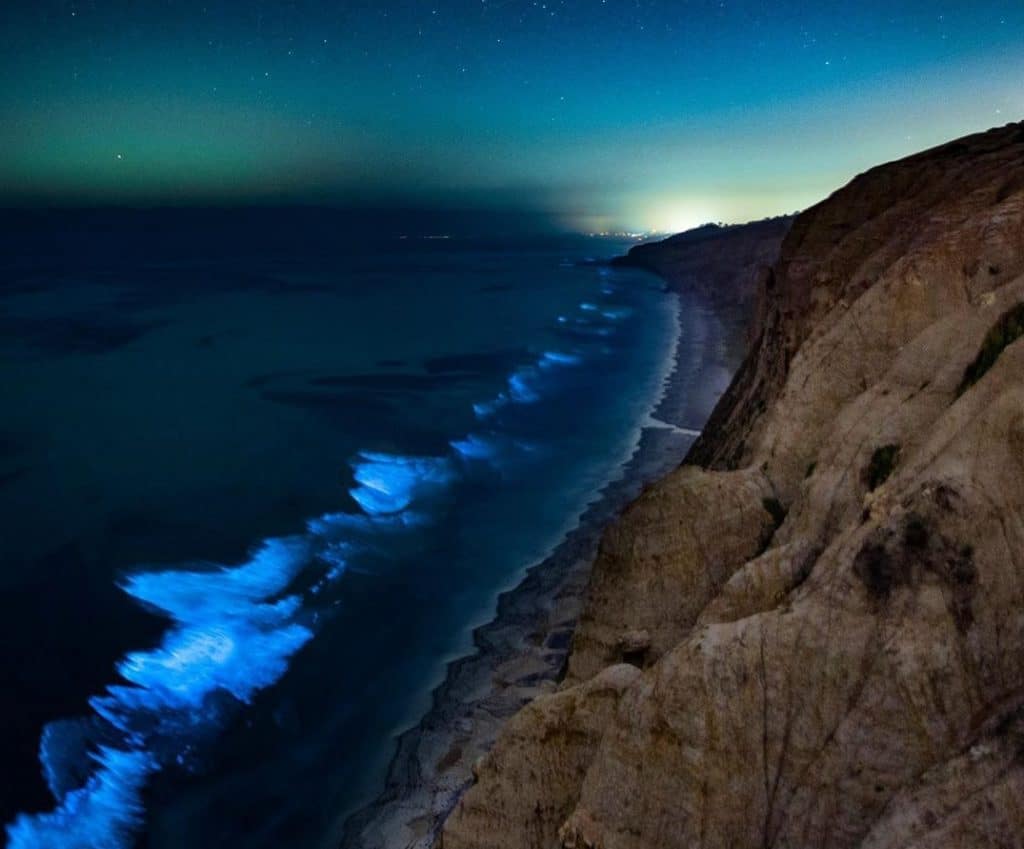 Southern California Bioluminescence: Spring And Fall Viewing Guide