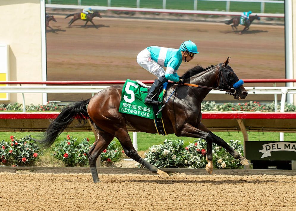 Stone To Announce Virginia Derby Meet At Colonial Downs: A Racing Update Stone To Announce Virginia Derby Meet At Colonial Downs: A Racing Update