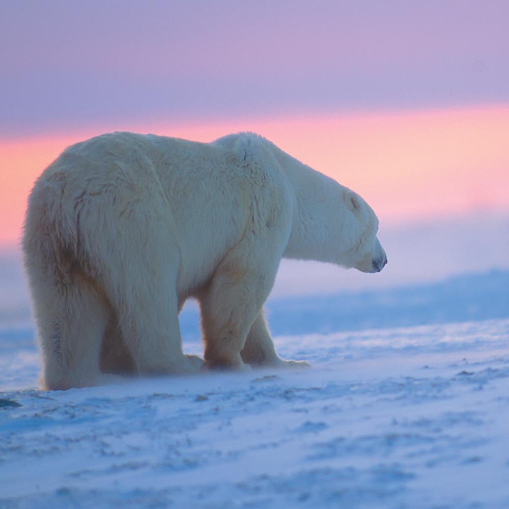 Strategic Energy And Economic Corridor: Manitoba And Nunavut's Kivalliq Hydro-Fibre Link Project