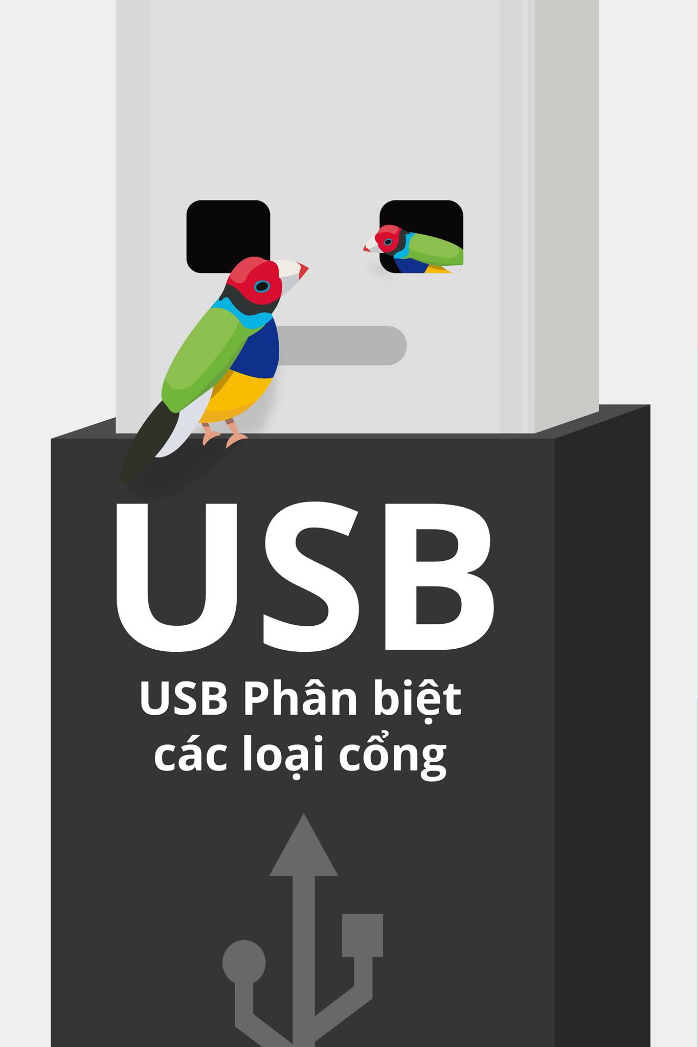 Sự Thật Về Hai Lỗ Vuông Nhỏ Trên Cổng USB Sự Thật Về Hai Lỗ Vuông Nhỏ Trên Cổng USB
