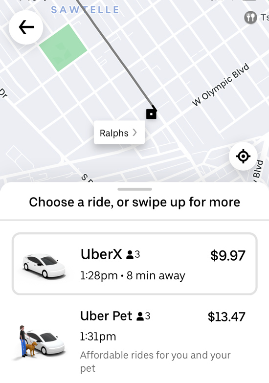 Taking Your Pet On An Uber In Mumbai: Step-by-Step Taking Your Pet On An Uber In Mumbai: Step-by-Step