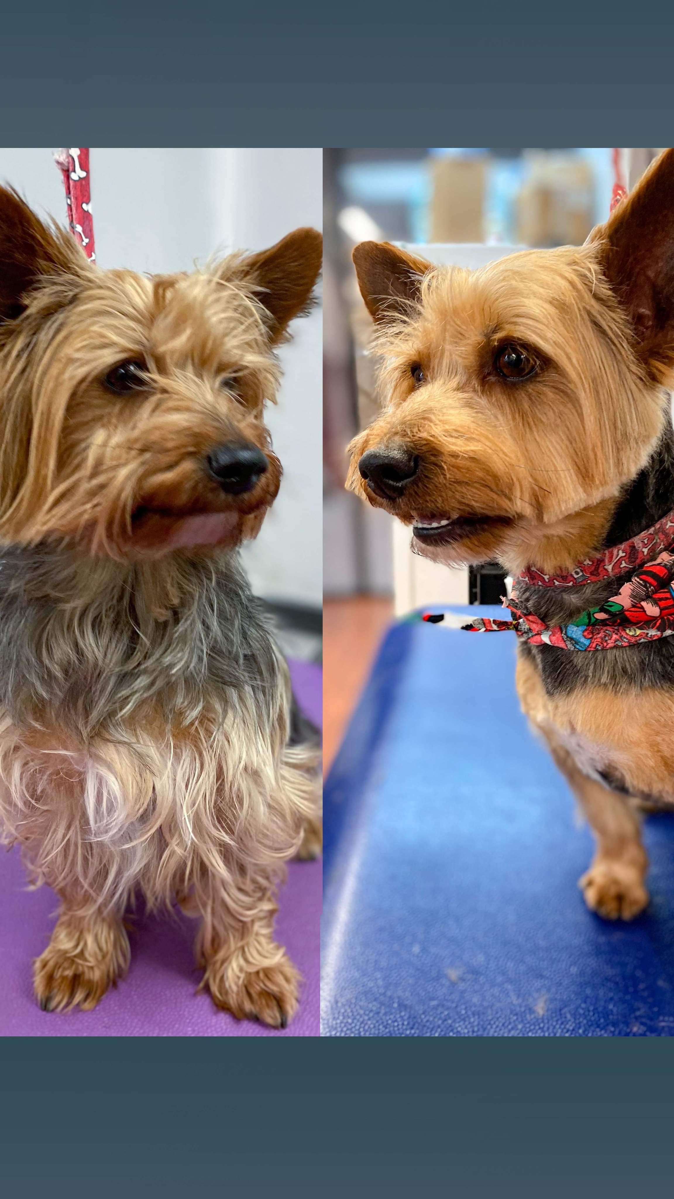 Tatum's Transformation: Grooming, Confidence, And A Meaningful Coaching Reunion With Essence Tatum's Transformation: Grooming, Confidence, And A Meaningful Coaching Reunion With Essence