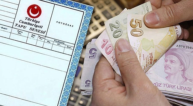 Tenis Yıldızı Novak Djokovic'in Muazzam Geliri: 186 Milyon Doların Sırrı Tenis Yıldızı Novak Djokovic'in Muazzam Geliri: 186 Milyon Doların Sırrı