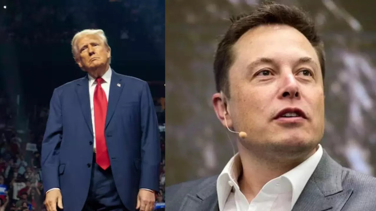 Tesla's Q1 Profits Plunge Amidst Musk's Trump Administration Backlash Tesla's Q1 Profits Plunge Amidst Musk's Trump Administration Backlash