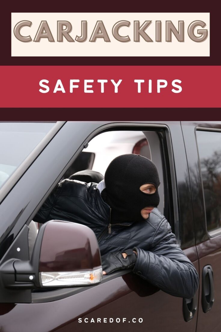 Test Drive Safety: Protecting Yourself From Carjacking Test Drive Safety: Protecting Yourself From Carjacking