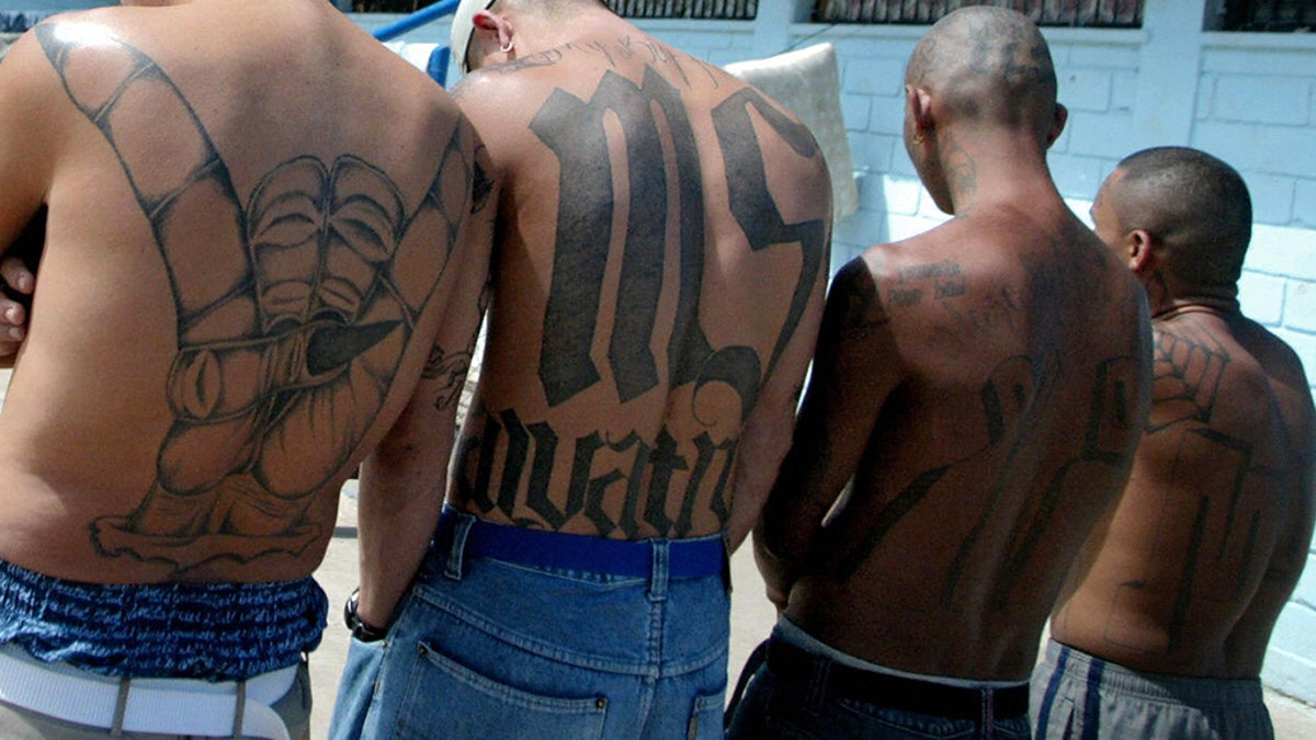 The Calibri Controversy: Examining Trump's Comments On MS-13 Tattoos The Calibri Controversy: Examining Trump's Comments On MS-13 Tattoos