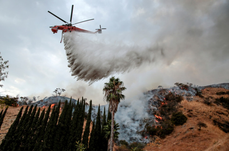 The Dark Side Of Disaster: Exploring The Market For Los Angeles Wildfire Bets The Dark Side Of Disaster: Exploring The Market For Los Angeles Wildfire Bets