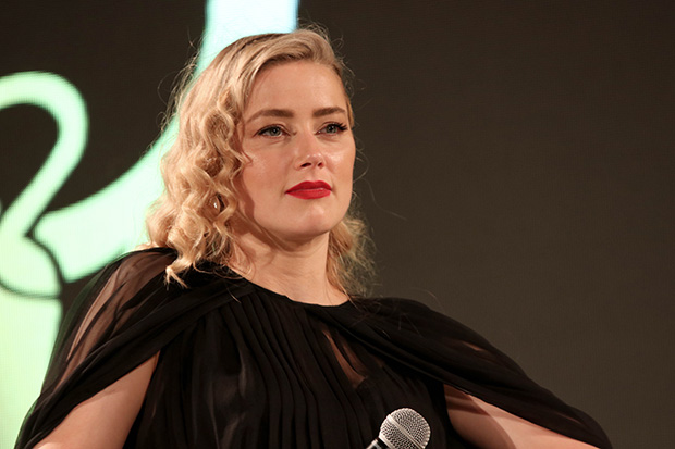 The Elon Musk-Amber Heard Twins: Fact Or Fiction? The Elon Musk-Amber Heard Twins: Fact Or Fiction?