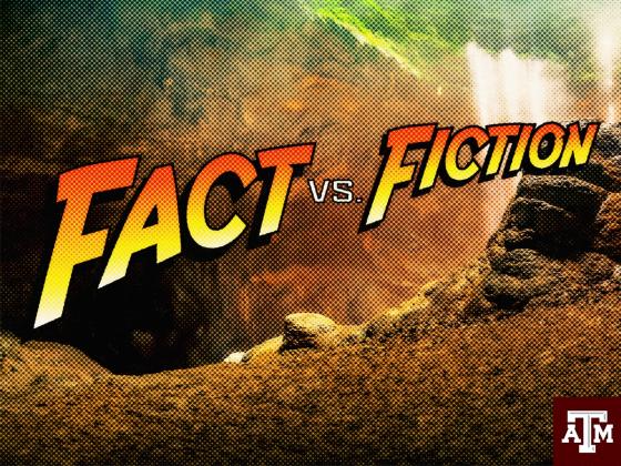 The Glossy Mirage: Fact Vs. Fiction The Glossy Mirage: Fact Vs. Fiction