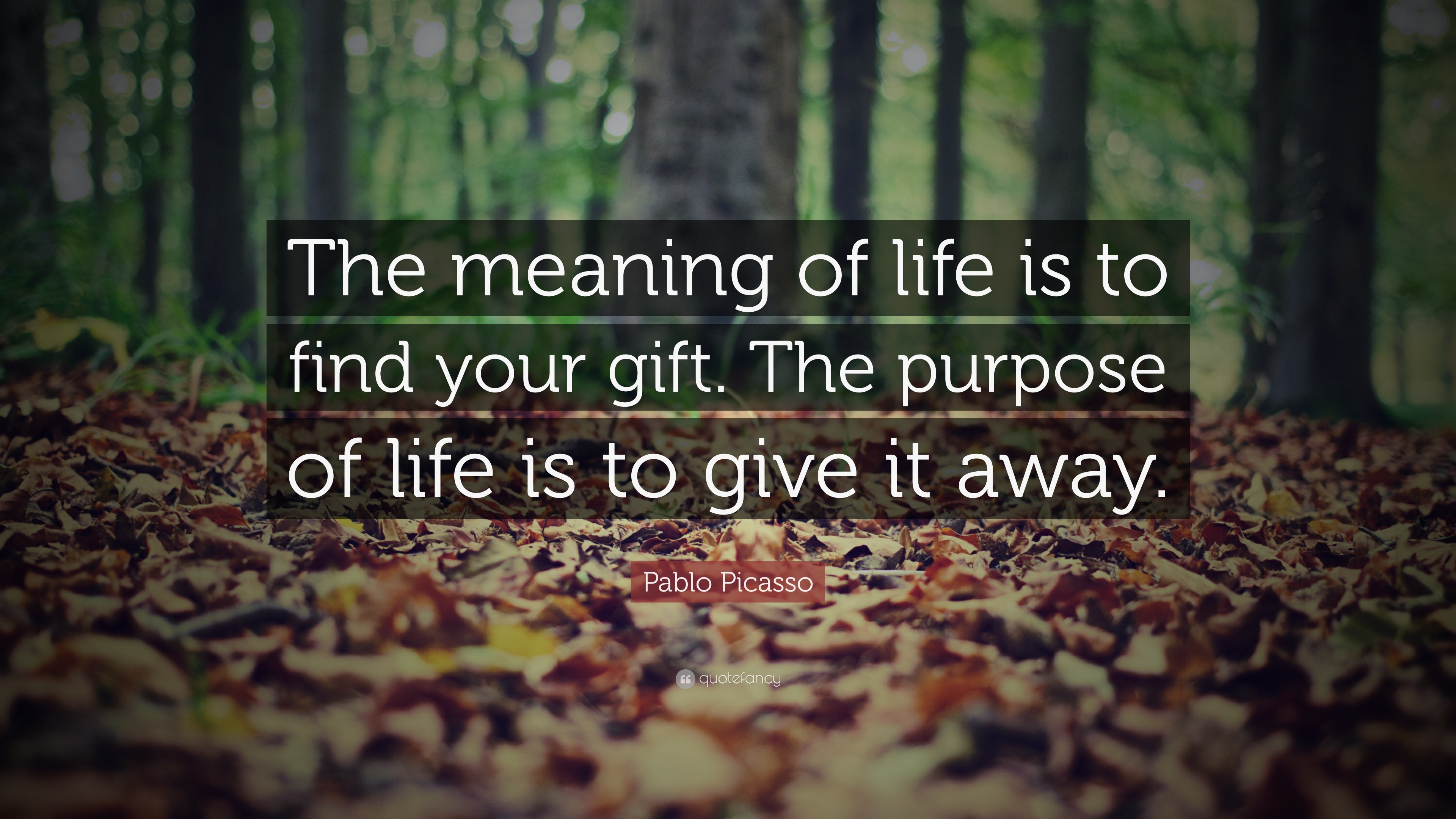 The Good Life: Finding Purpose And Meaning The Good Life: Finding Purpose And Meaning