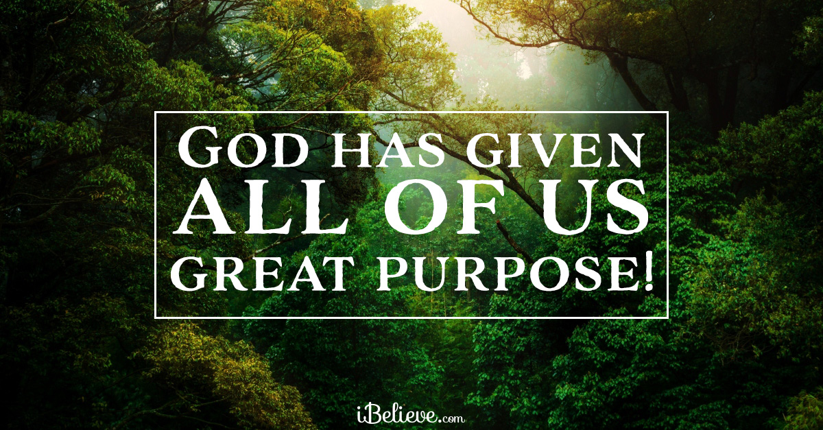 The Good Life: Finding Purpose And Well-being In Your Daily Life