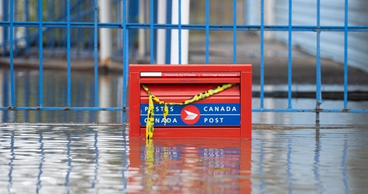 The Impact Of Canada Post's Performance On The Delivery Services Market The Impact Of Canada Post's Performance On The Delivery Services Market