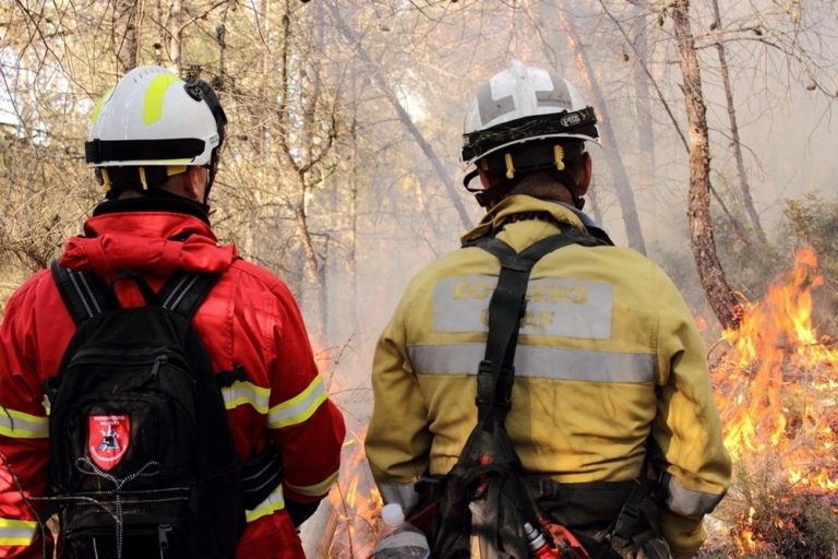 The Impact Of Wildfires On The UK's Most Endangered Species The Impact Of Wildfires On The UK's Most Endangered Species
