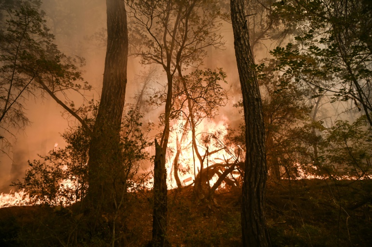 The LA Wildfires And The Growing Trend Of Betting On Natural Events The LA Wildfires And The Growing Trend Of Betting On Natural Events