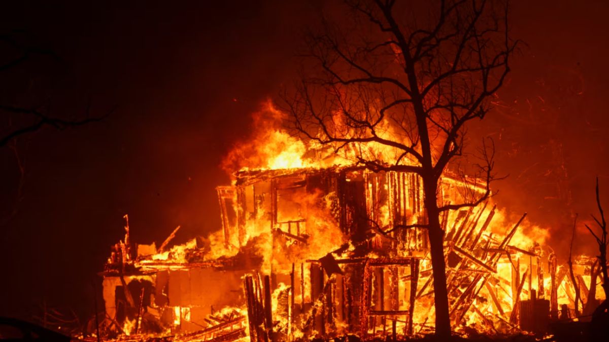 The Los Angeles Wildfire Betting Market: A Reflection Of Societal Attitudes The Los Angeles Wildfire Betting Market: A Reflection Of Societal Attitudes