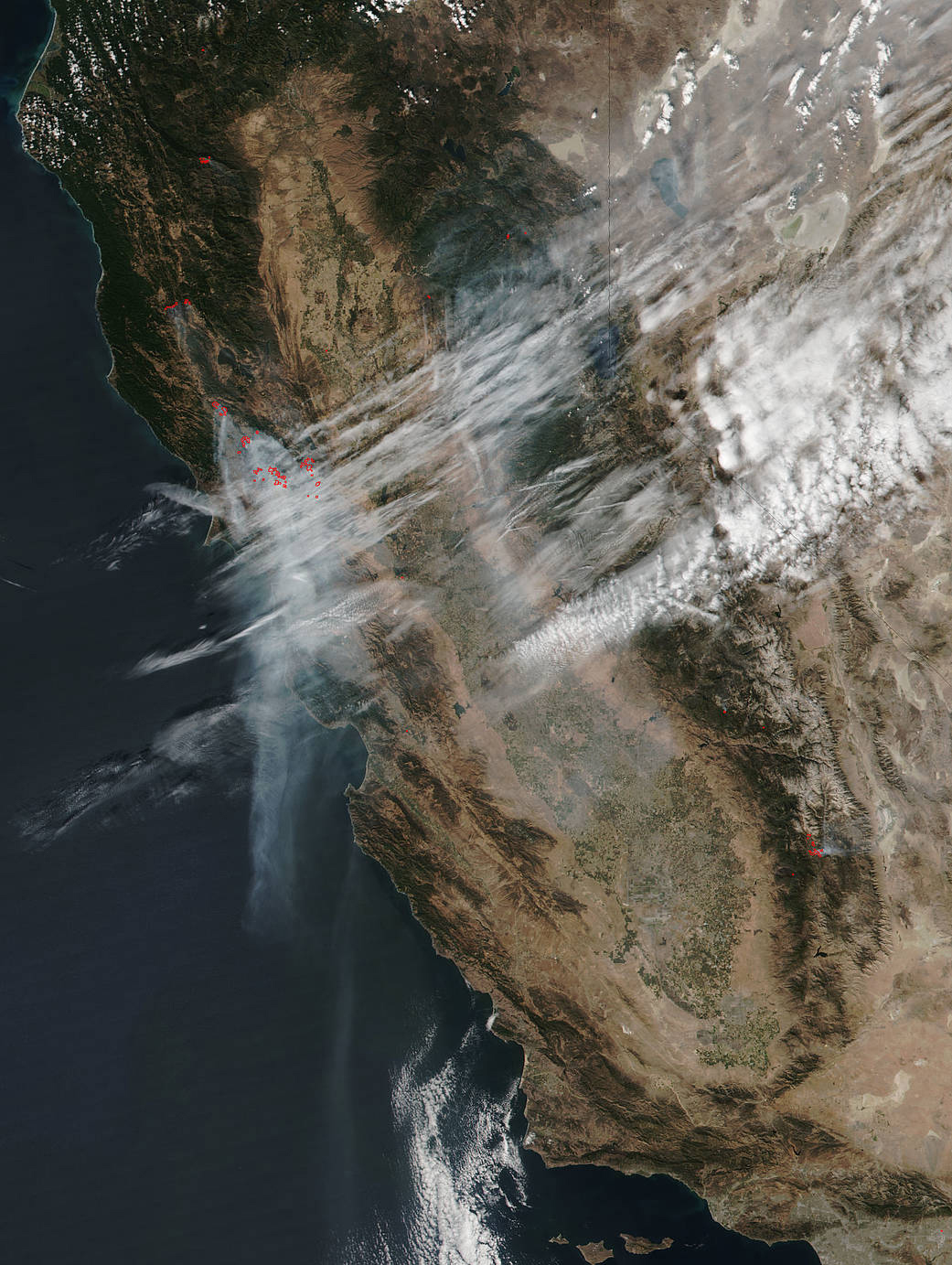 The Los Angeles Wildfires: A Reflection Of Societal Trends In Disaster Gambling The Los Angeles Wildfires: A Reflection Of Societal Trends In Disaster Gambling